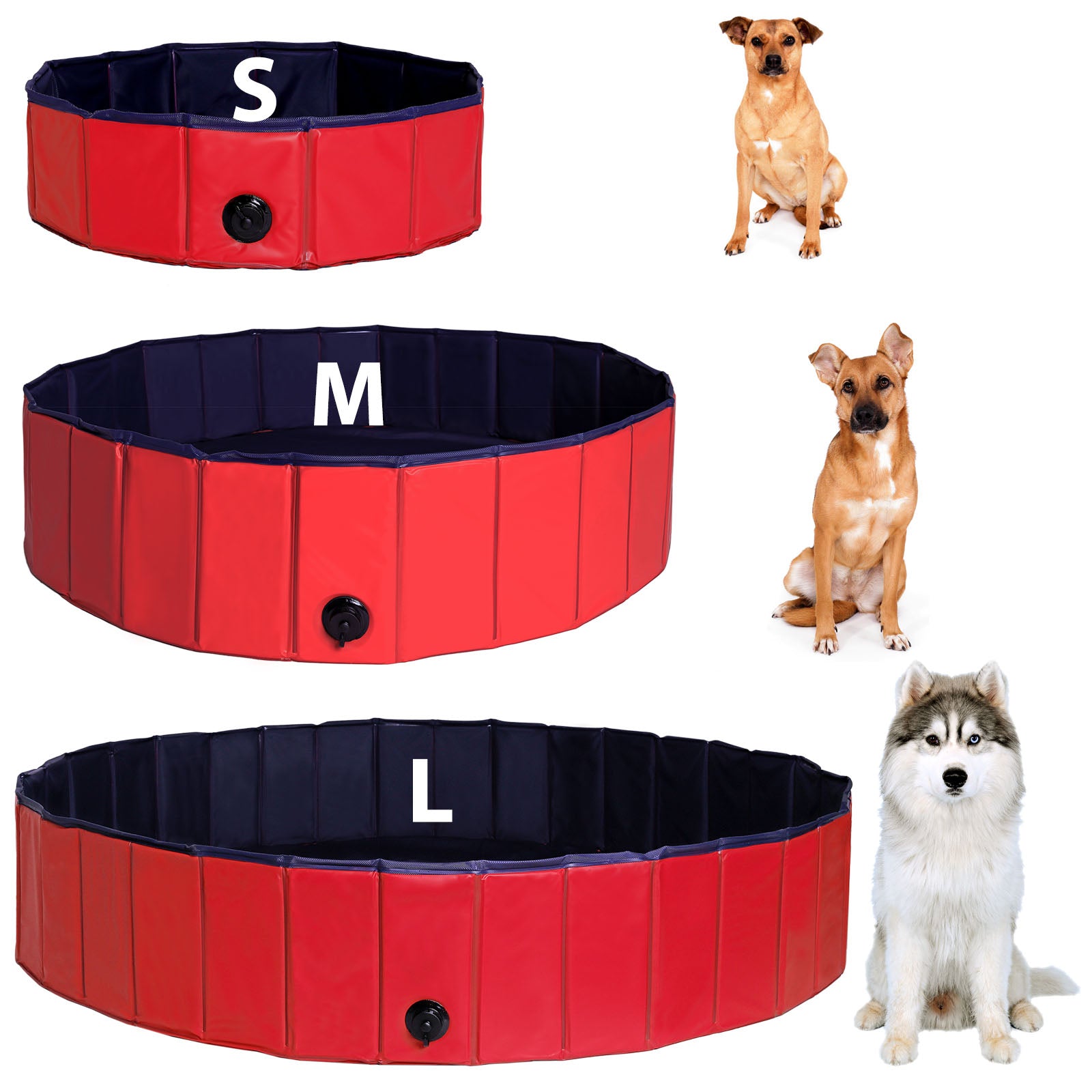 Größenangabe von S-L des Pools mit danebengestellten passenden Hunderassen