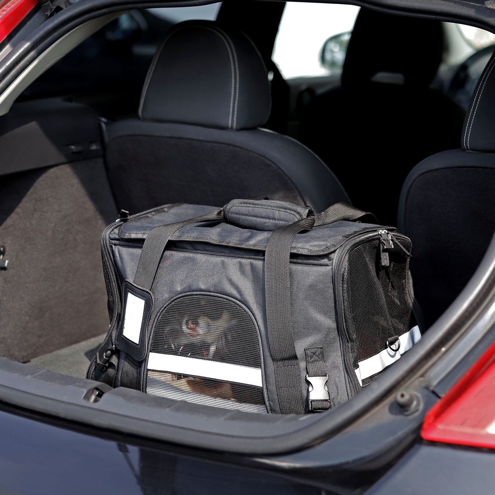 Sac de transport pliable pour chien