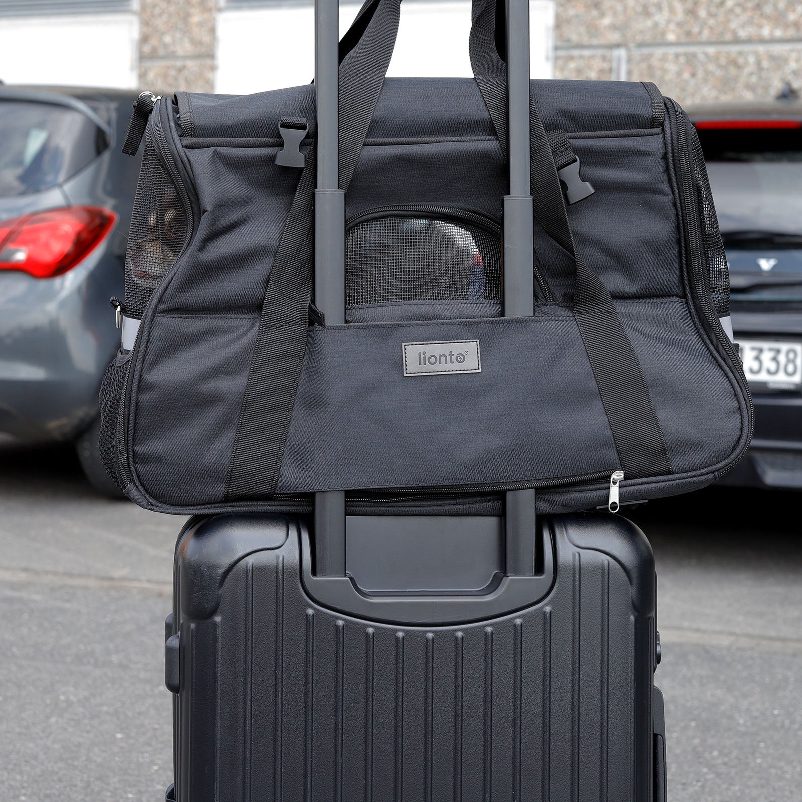 Sac de transport pliable pour chat