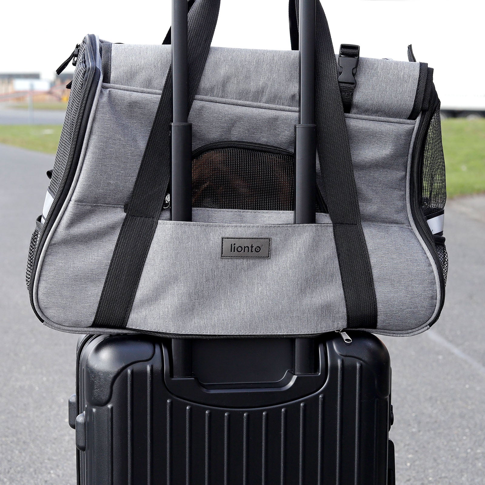 Sac de transport pliable pour chat