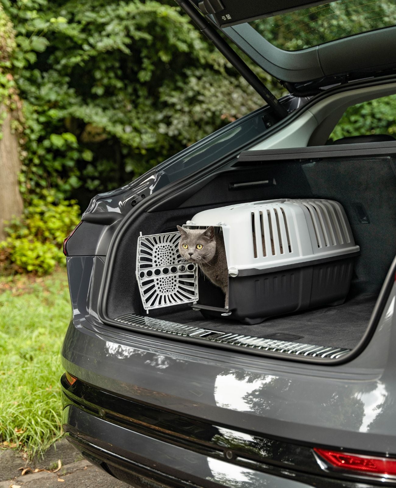lionto Caisse de transport rigide lionto pour chats, différentes versions