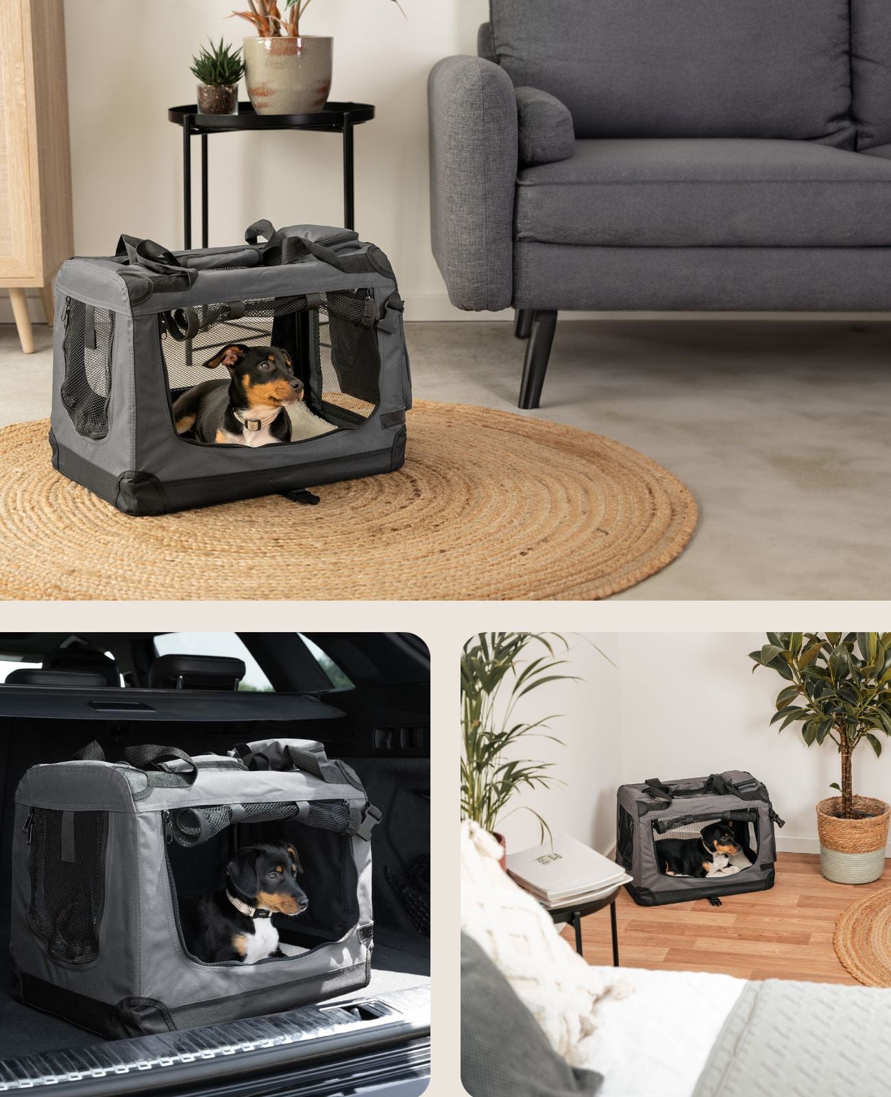 lionto Caisse de transport pliable pour chien (tailles S-XXXL et 4 couleurs)