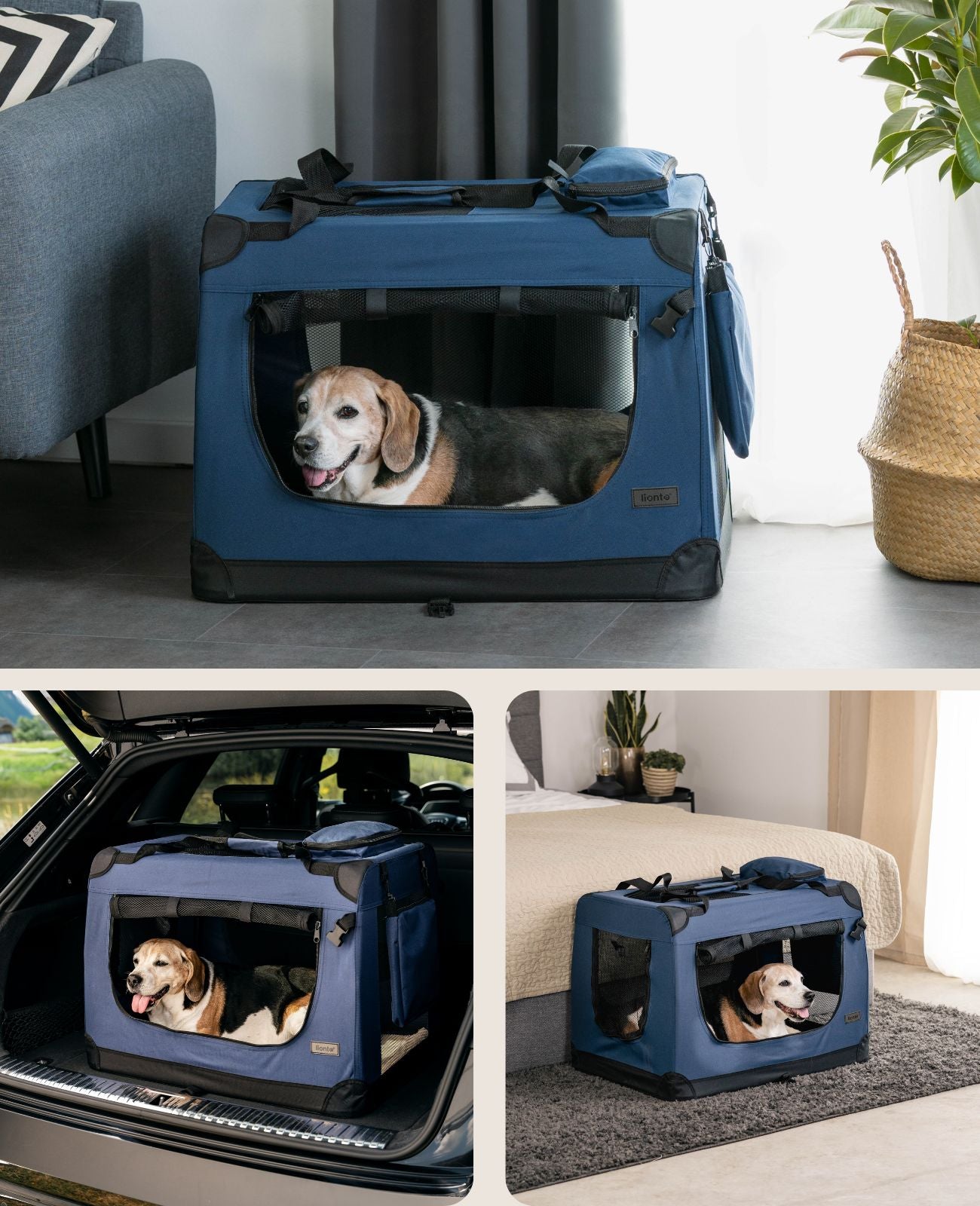 lionto Caisse de transport pliable pour chien (tailles S-XXXL et 4 couleurs)