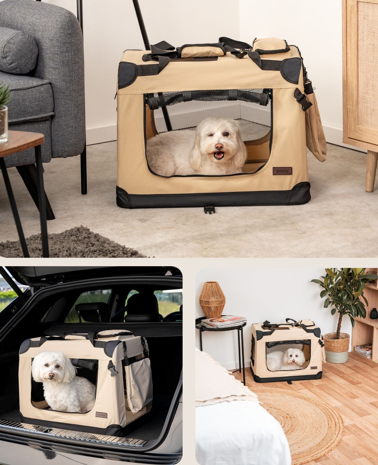 lionto Caisse de transport pliable pour chien (tailles S-XXXL et 4 couleurs)