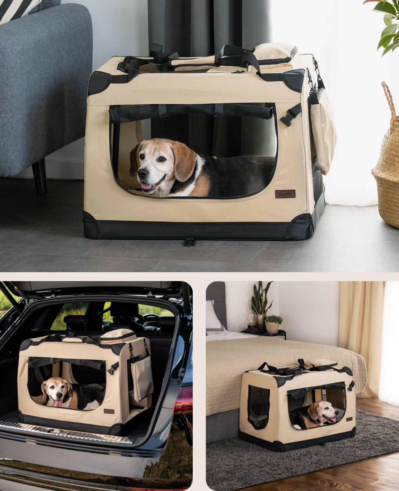 lionto Caisse de transport pliable pour chien (tailles S-XXXL et 4 couleurs)