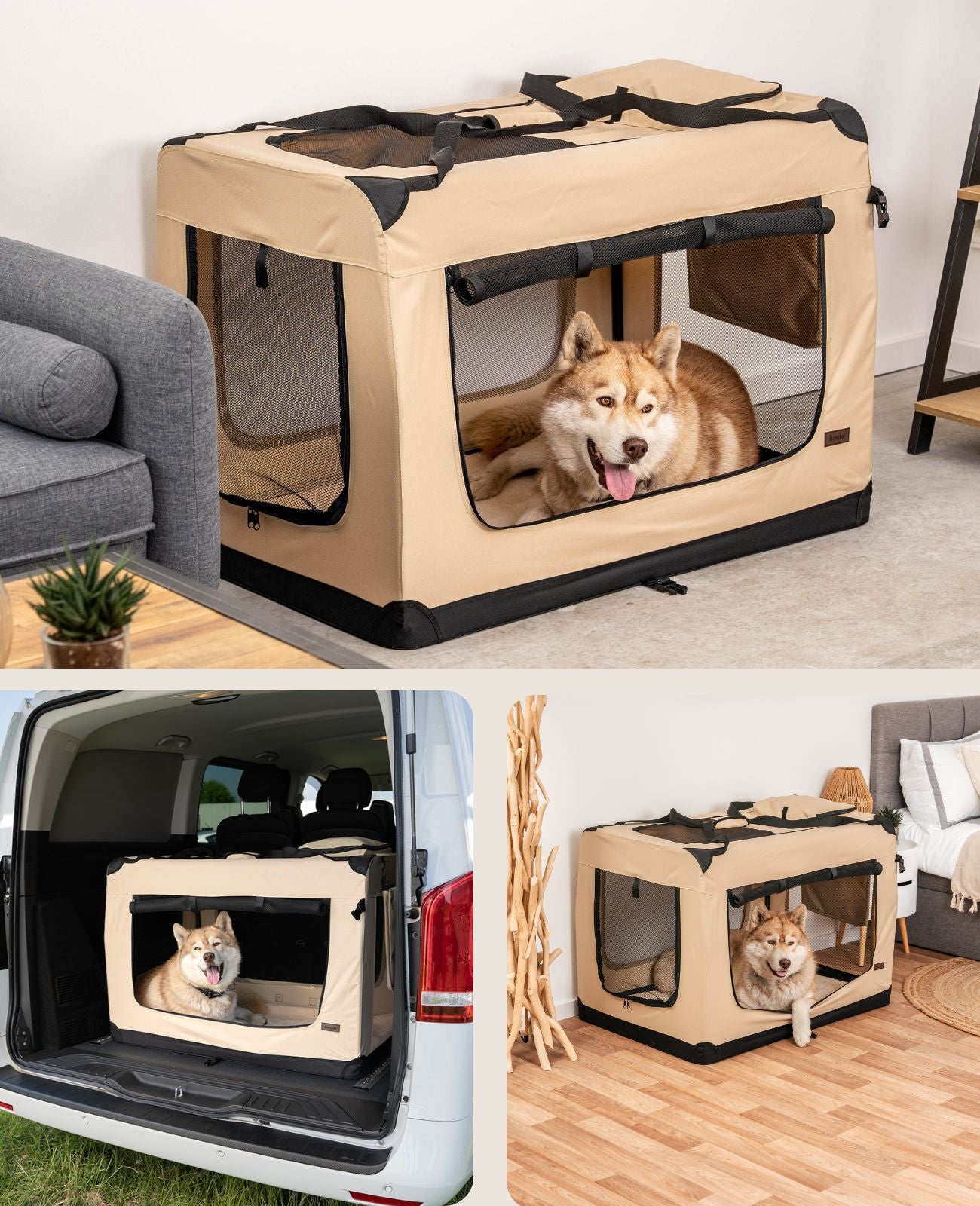 lionto Caisse de transport pliable pour chien (tailles S-XXXL et 4 couleurs)