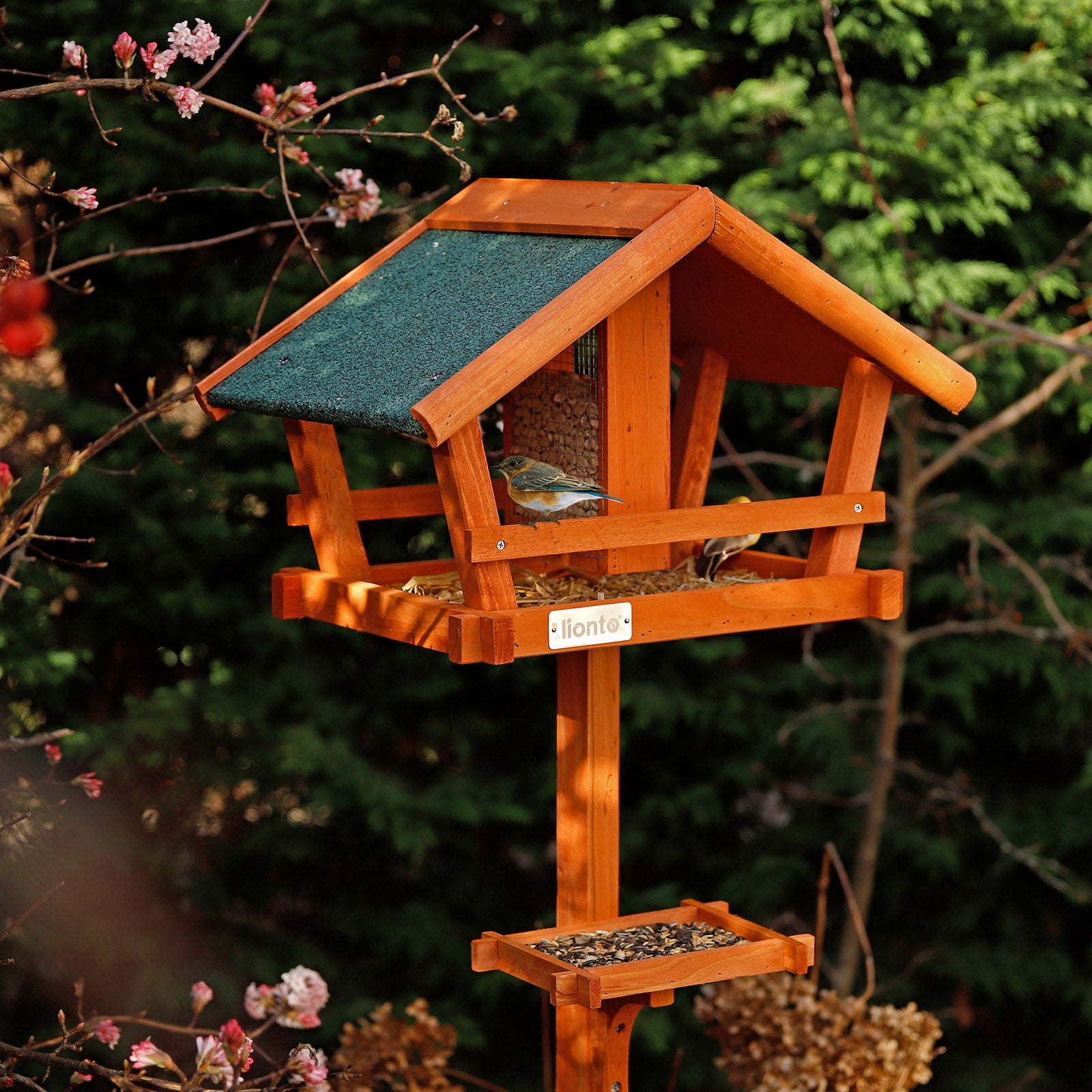 Vögel sitzen im Vogelhaus im Garten und picken Körner
