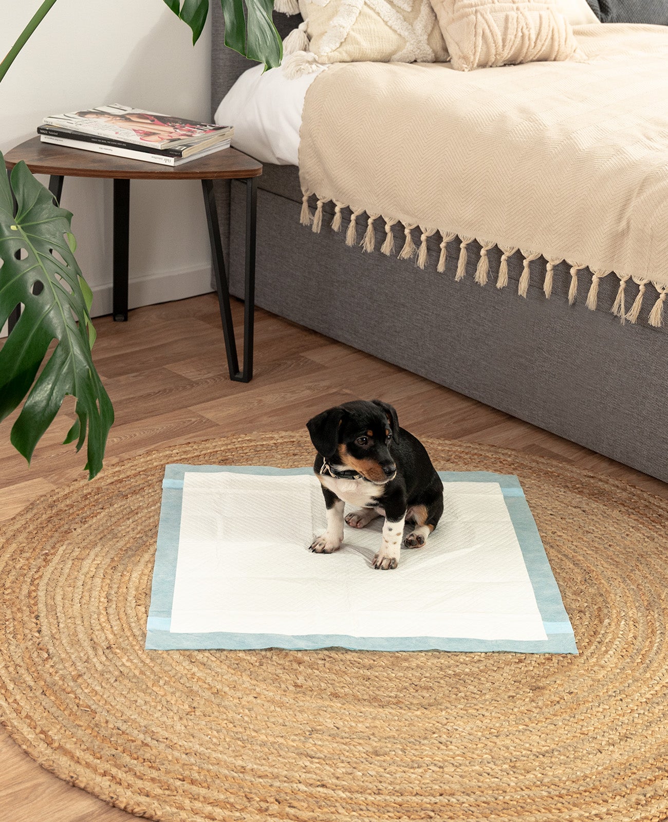 lionto Tapis hygiénique pour chiens à 6 épaisseurs, nombreux modèles