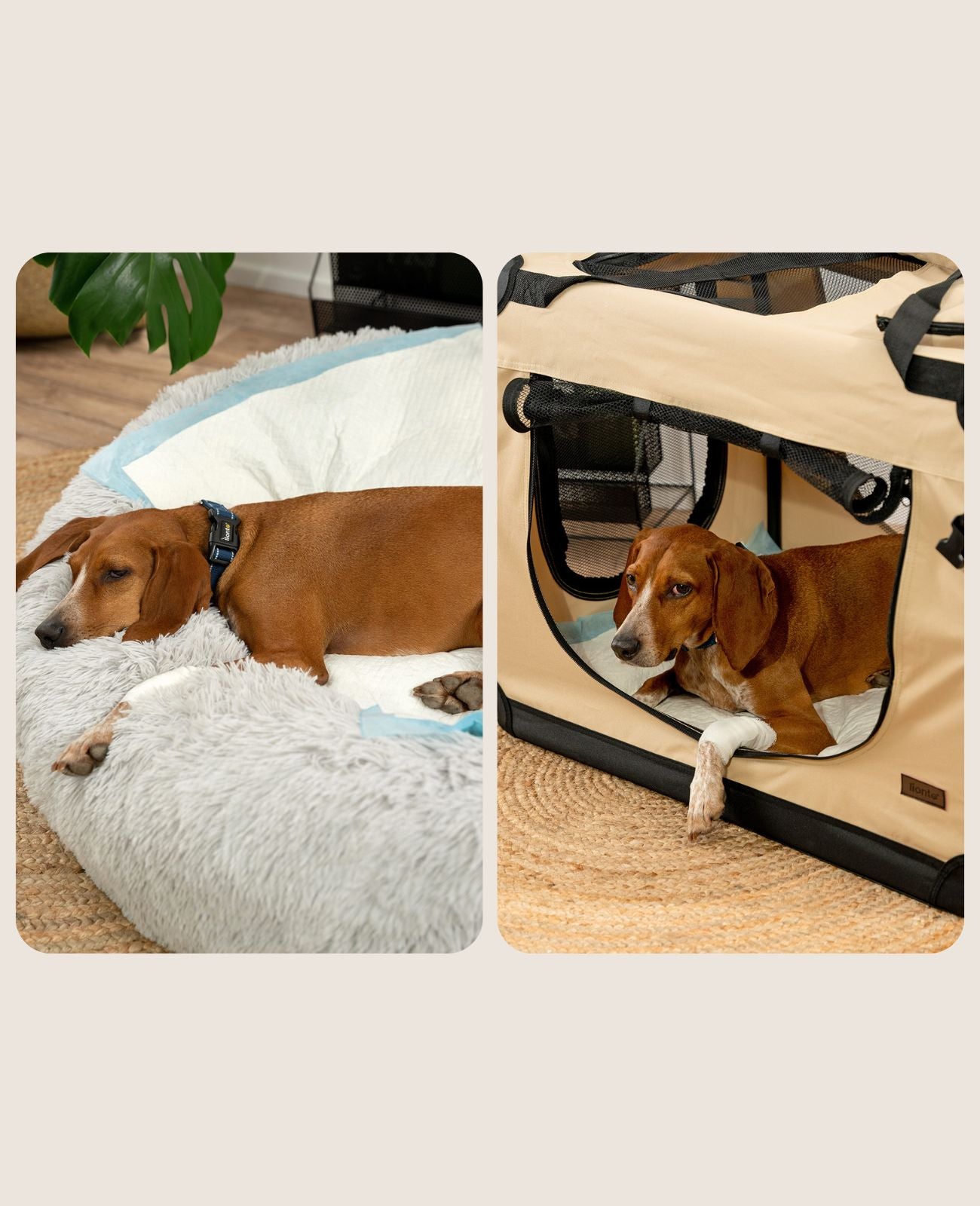 lionto Tapis hygiénique pour chiens à 6 épaisseurs, nombreux modèles