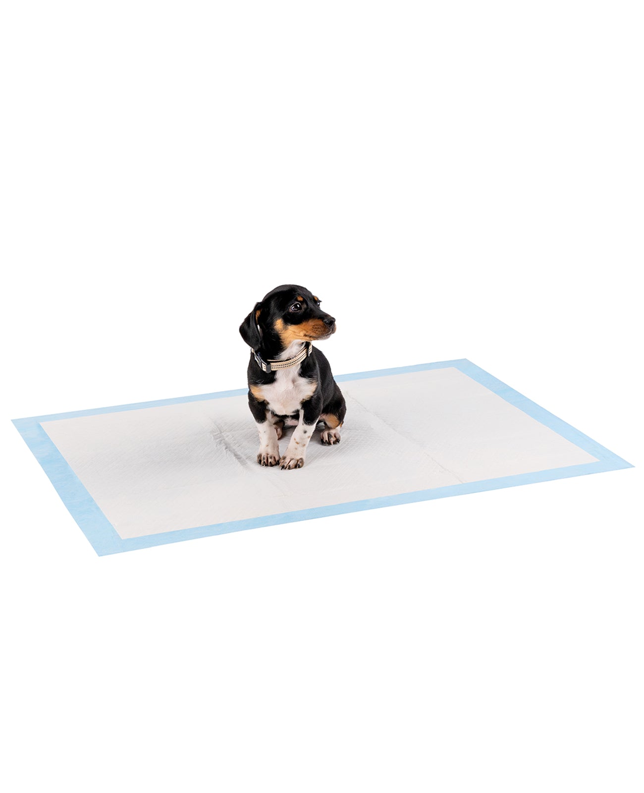 lionto Tapis hygiénique pour chiens à 6 épaisseurs, nombreux modèles