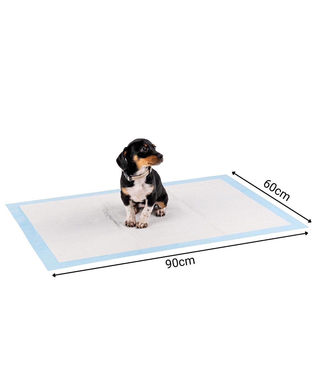 lionto Tapis hygiénique pour chiens à 6 épaisseurs, nombreux modèles