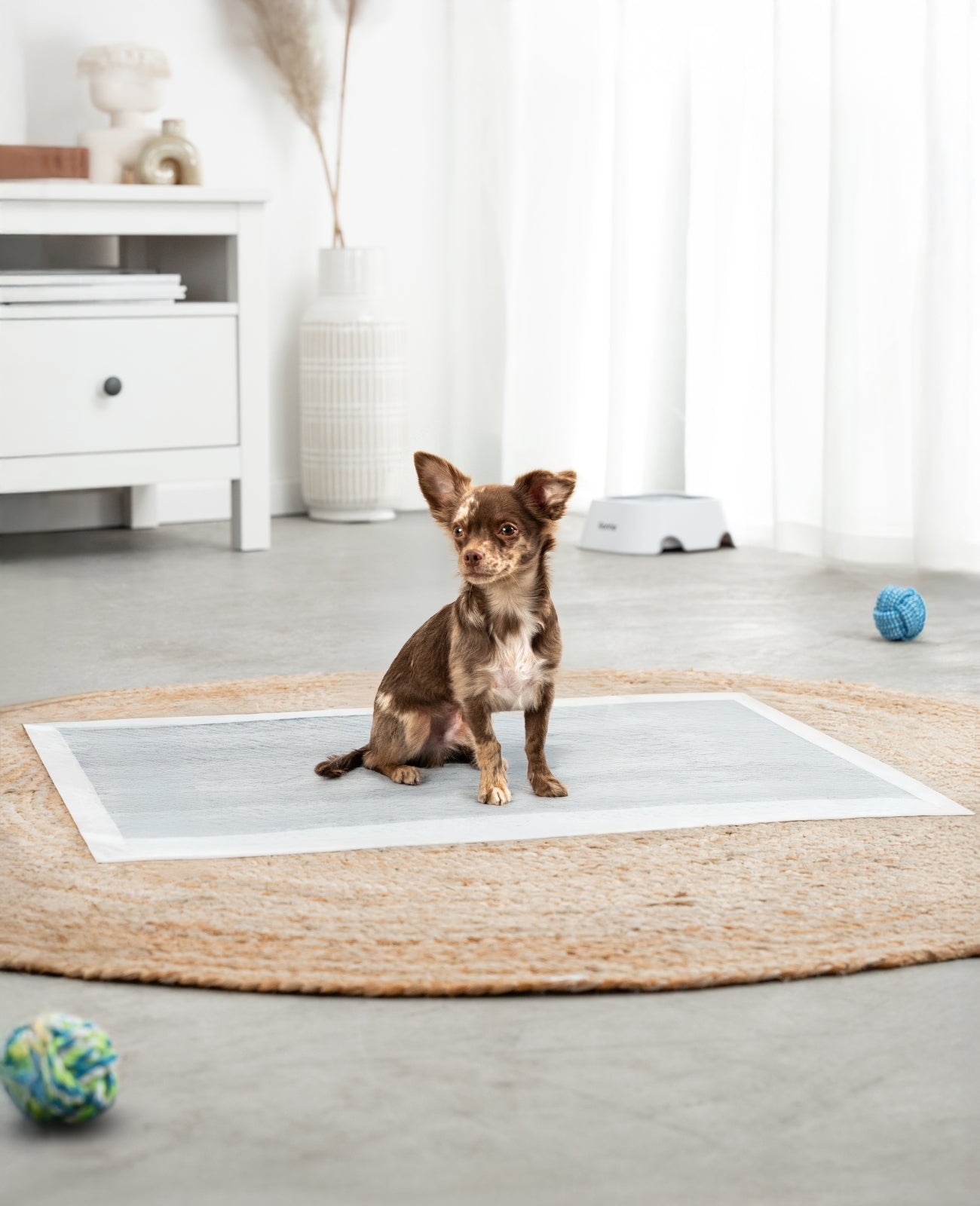 lionto Tapis hygiénique pour chiens à 6 épaisseurs, nombreux modèles