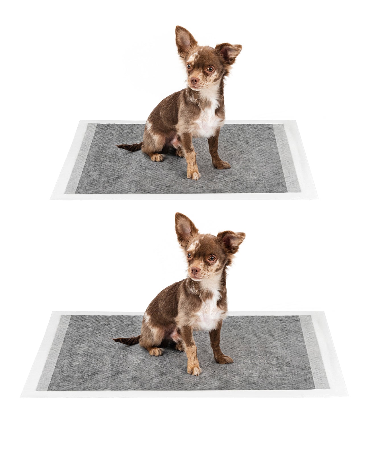 lionto Tapis hygiénique pour chiens à 6 épaisseurs, nombreux modèles