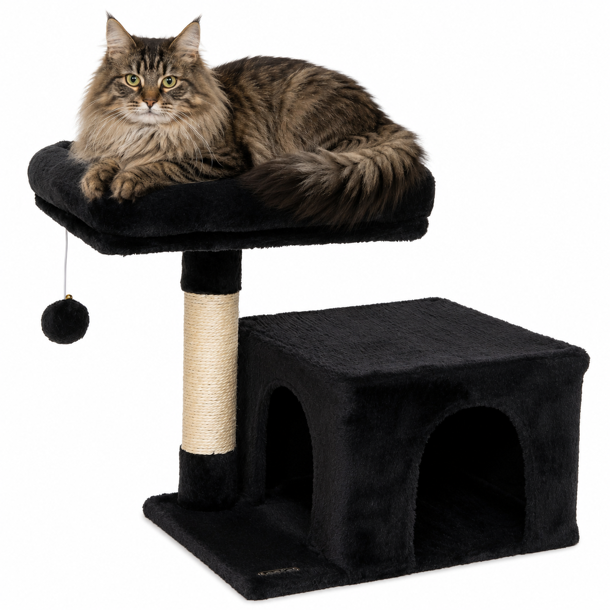 Arbre-griffoir chat arbre d'escalade arbre à chat hauteur 50 cm divers coloris