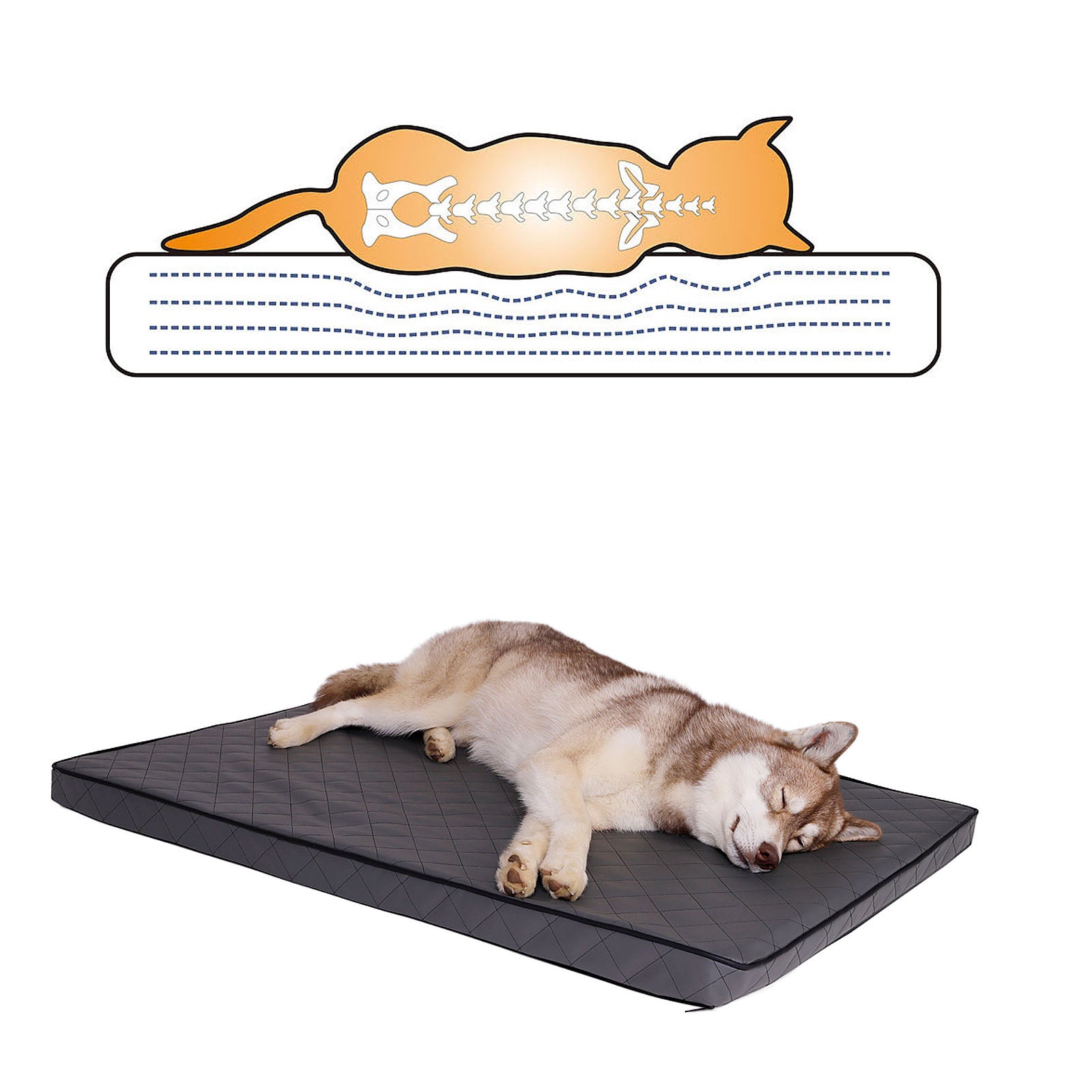Tapis orthopédique pour chien