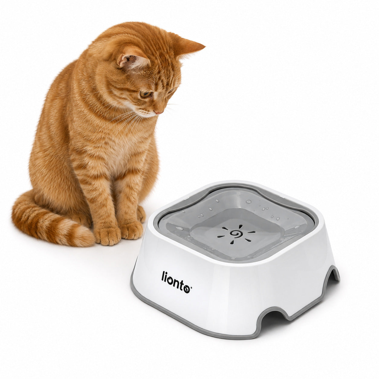 lionto Gamelle à eau pour chien et chats Gamelle anti-salissure, étanche,1 litre