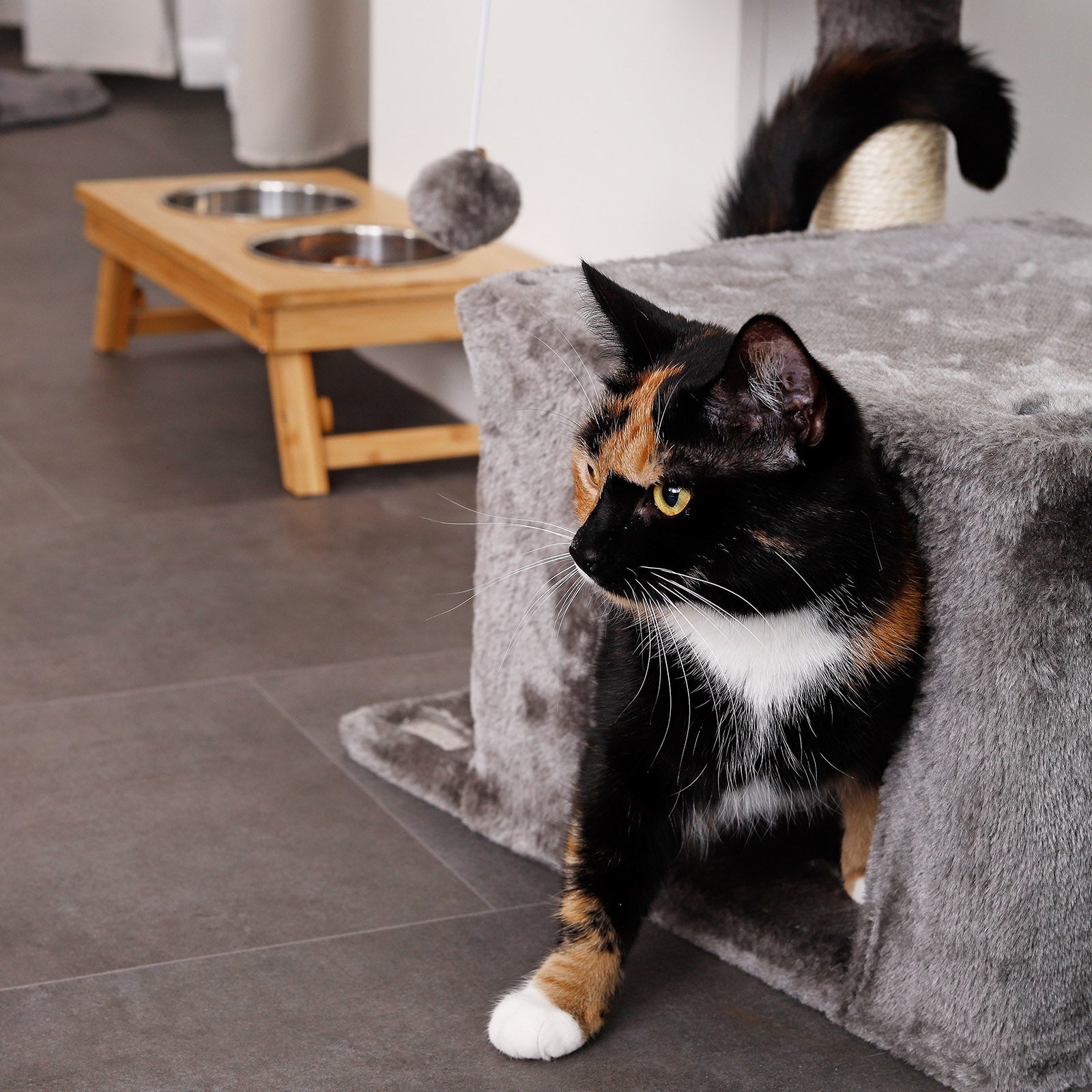 Station d'alimentation pour chat avec cadre en bambou