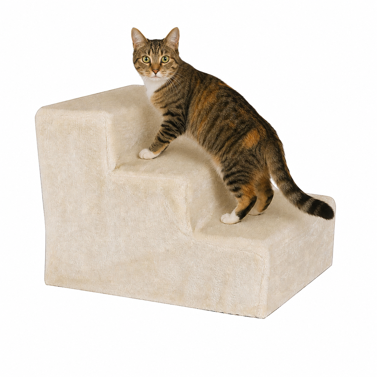 lionto Escalier pour animaux escalier pour chat escalier chats diff. couleurs