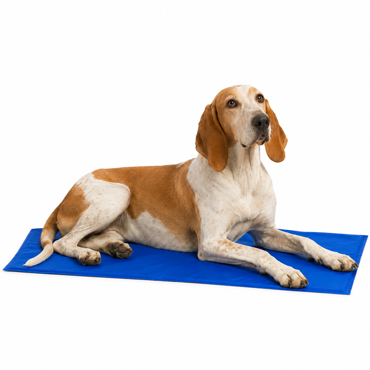 Tapis auto-refroidissant