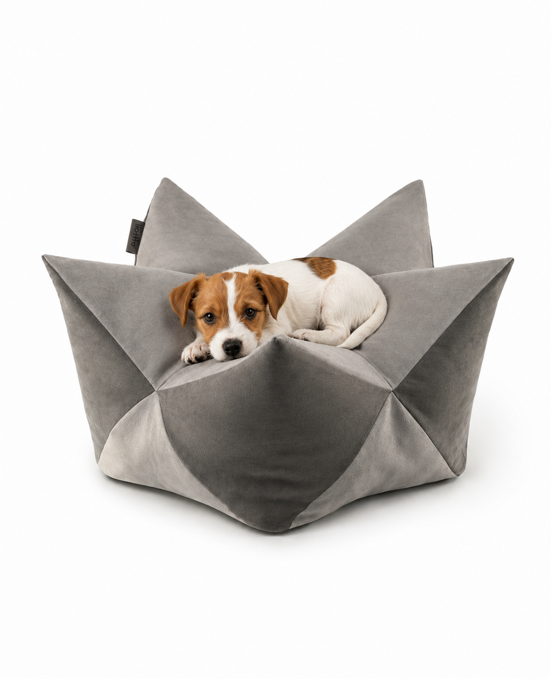 lionto Coussin Crown Coussin Star Lit pour chien, différentes versions
