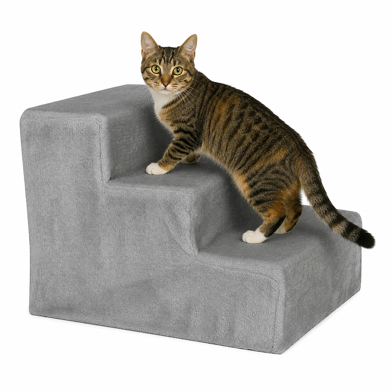 lionto Escalier pour animaux escalier pour chat escalier chats diff. couleurs