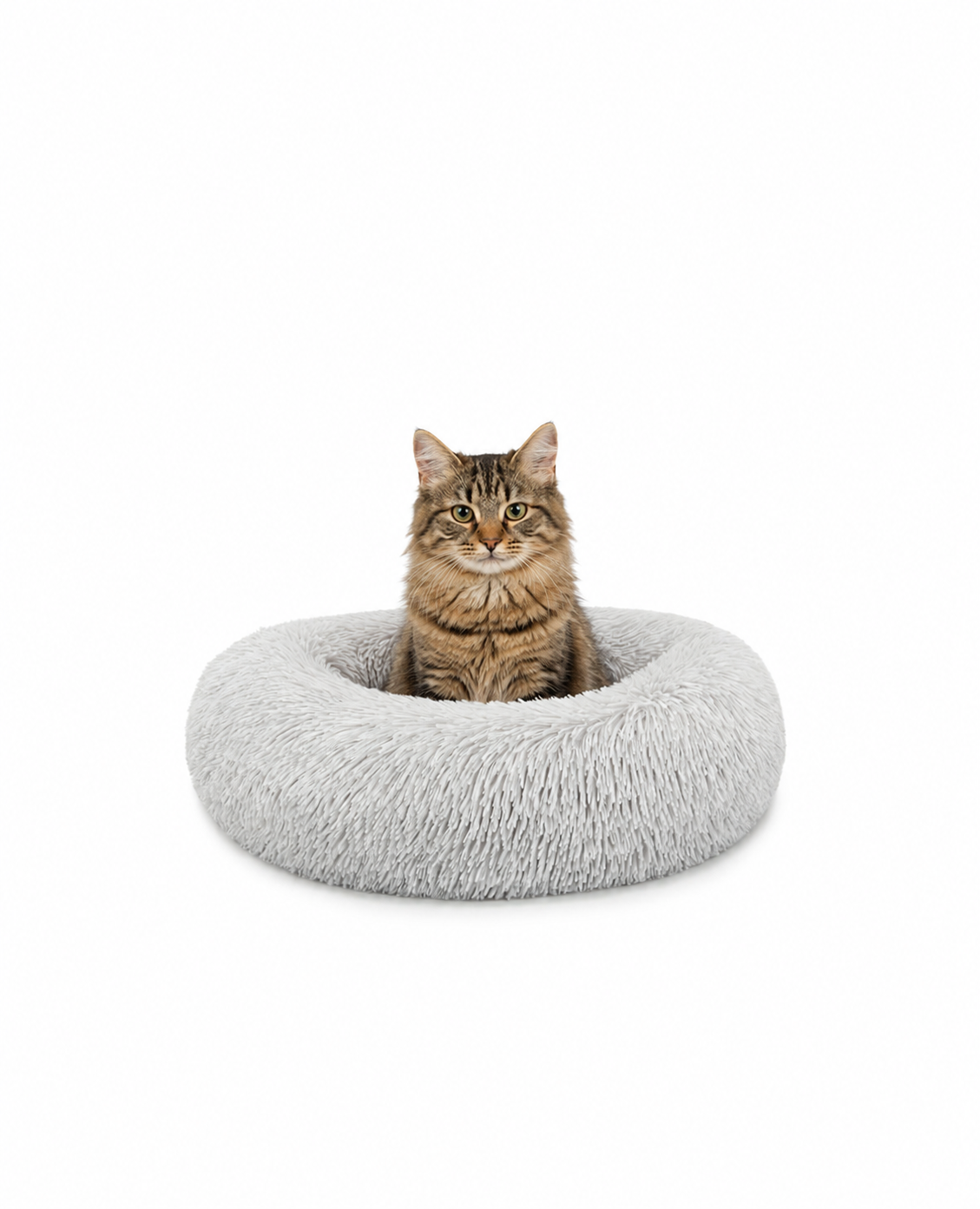 lionto Panier rond chat coussin chat panier donut choix de la taille et couleur