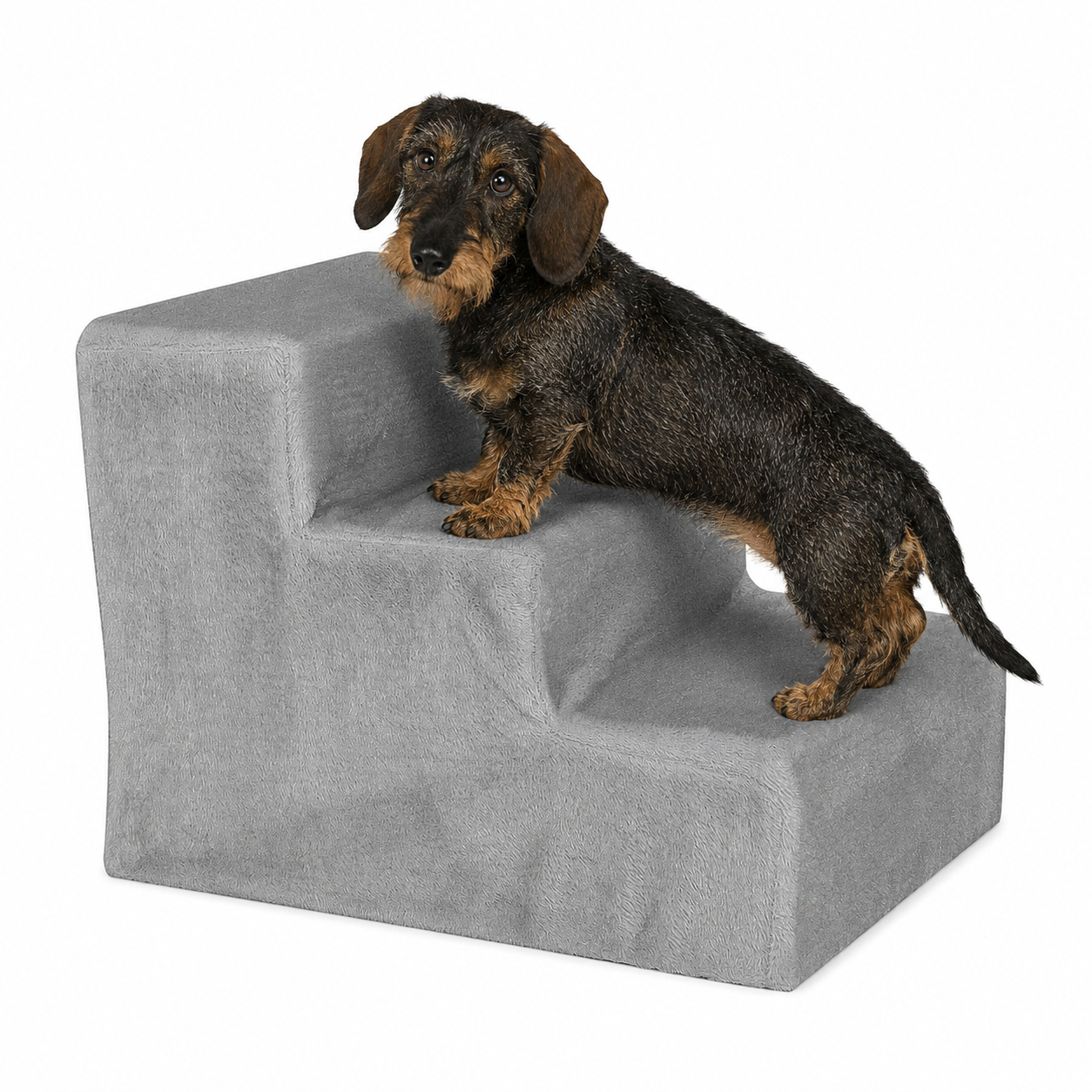 lionto Escalier pour animaux escalier pour chat escalier pour chien couleur au choix