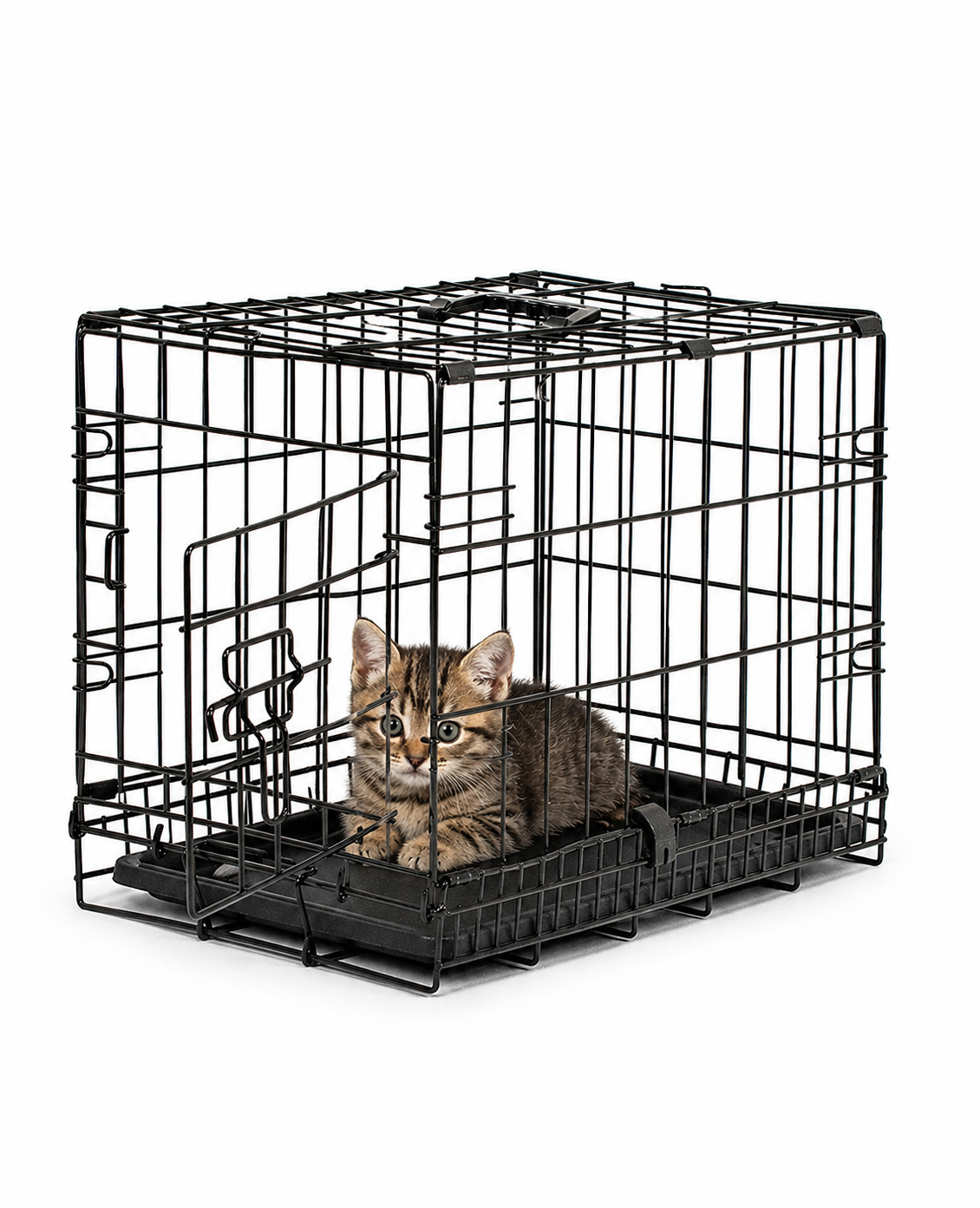 Cage de transport pour chat avec plateau de base
