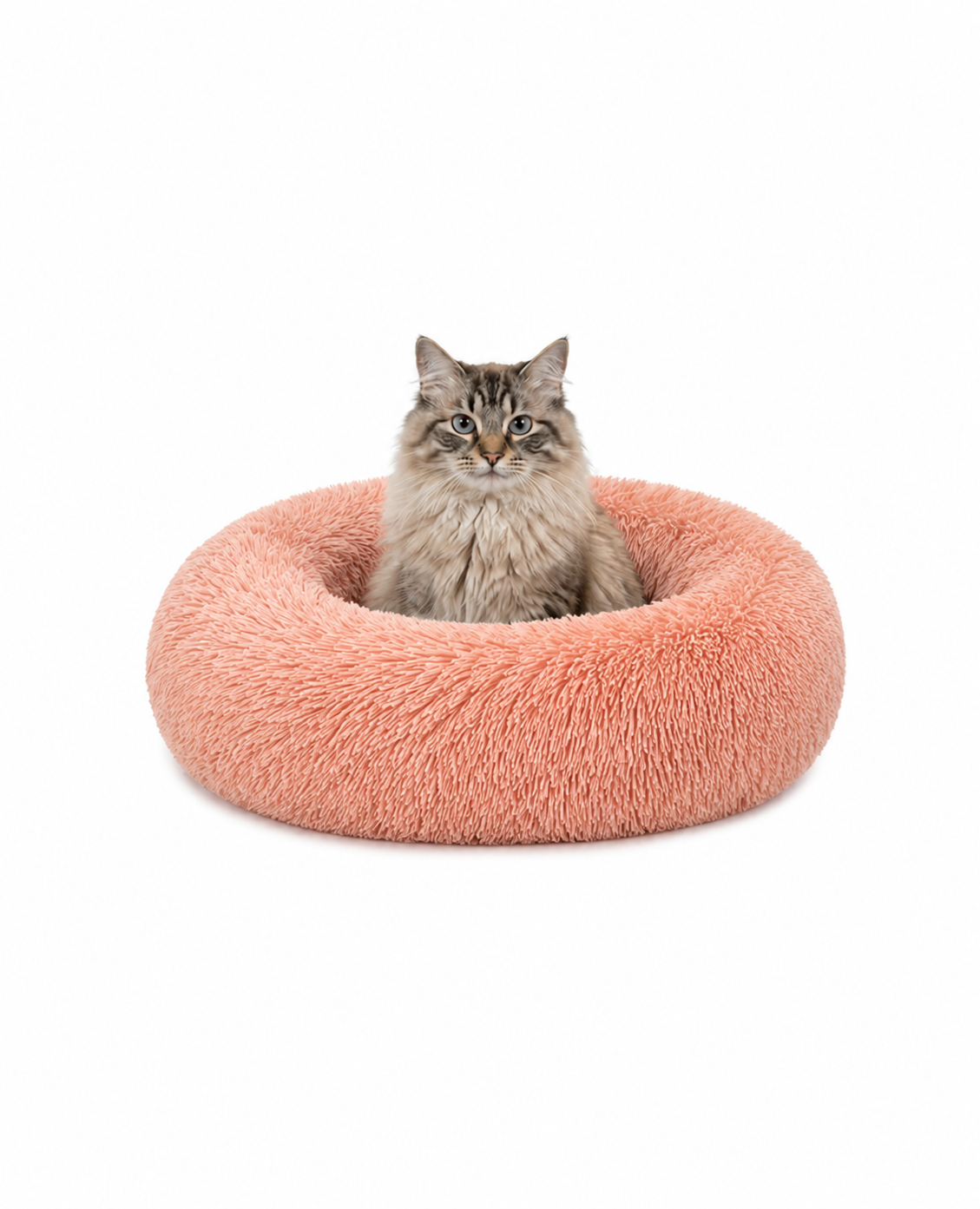 lionto Panier rond chat coussin chat panier donut choix de la taille et couleur