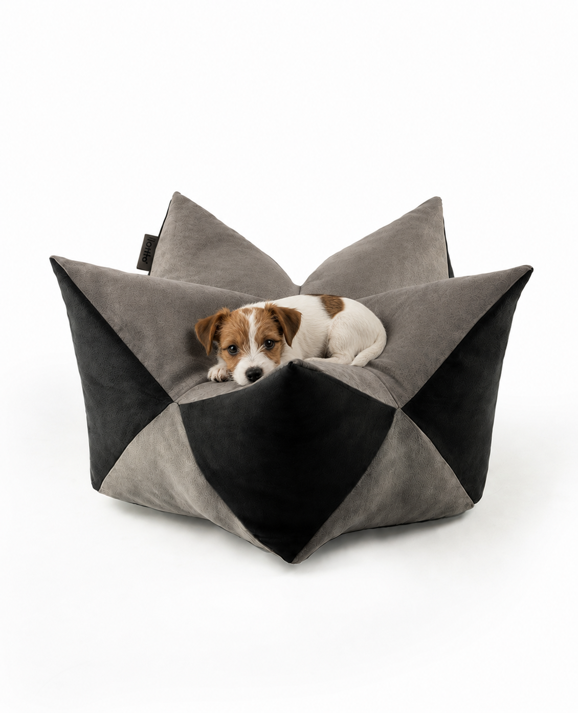 lionto Coussin Crown Coussin Star Lit pour chien, différentes versions