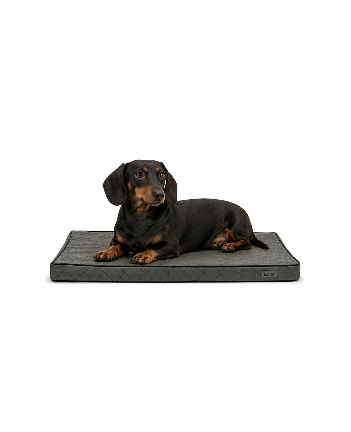 lionto Tapis orthopédique pour chien Lit pour chien en cuir synthétique mousse, différentes tailles