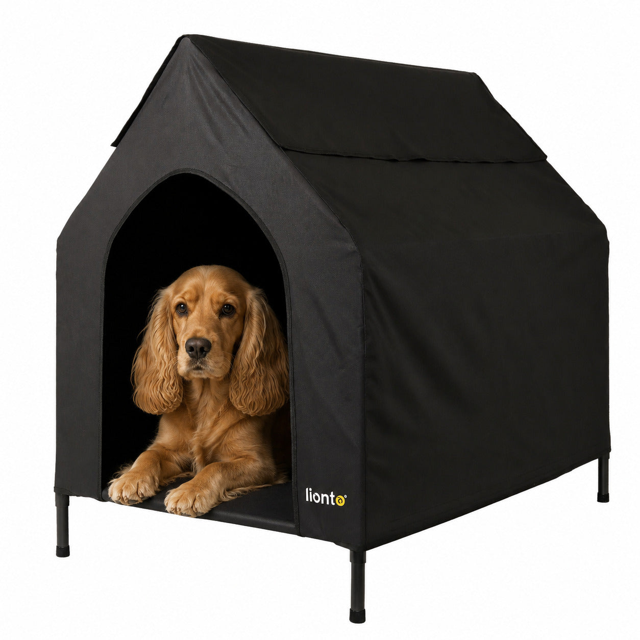 Lit couvert chien niche surélevée lit chien avec toit noir plusieurs tailles