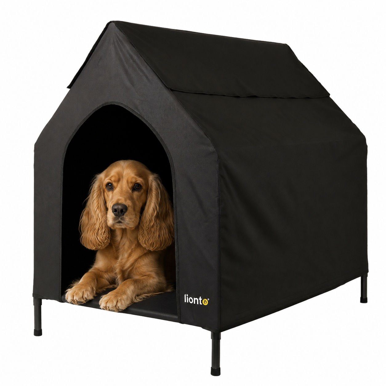 Lit couvert chien niche surélevée lit chien avec toit noir plusieurs tailles