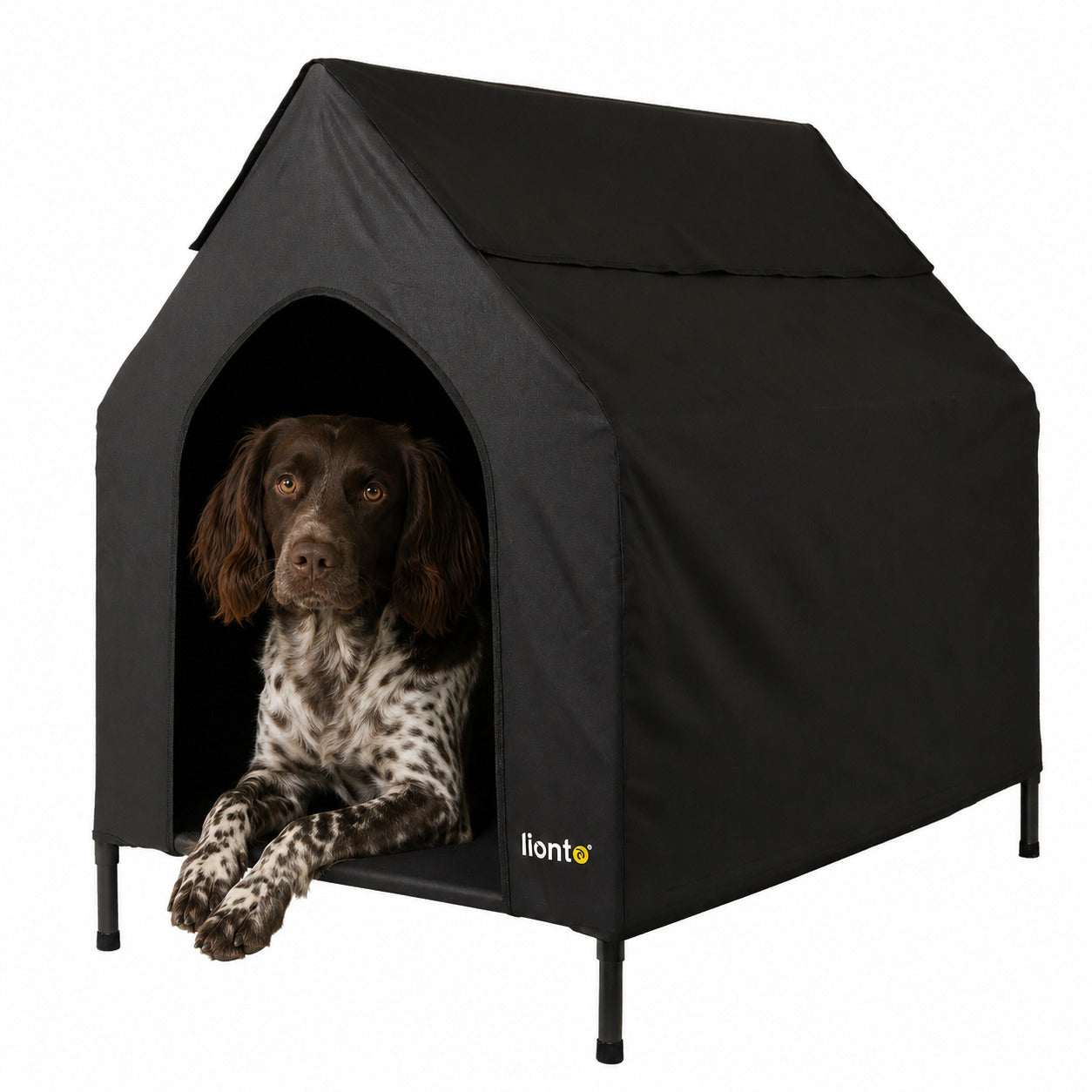 Lit couvert chien niche surélevée lit chien avec toit noir plusieurs tailles