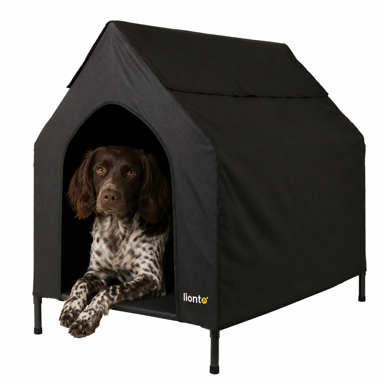 Lit couvert chien niche surélevée lit chien avec toit noir plusieurs tailles