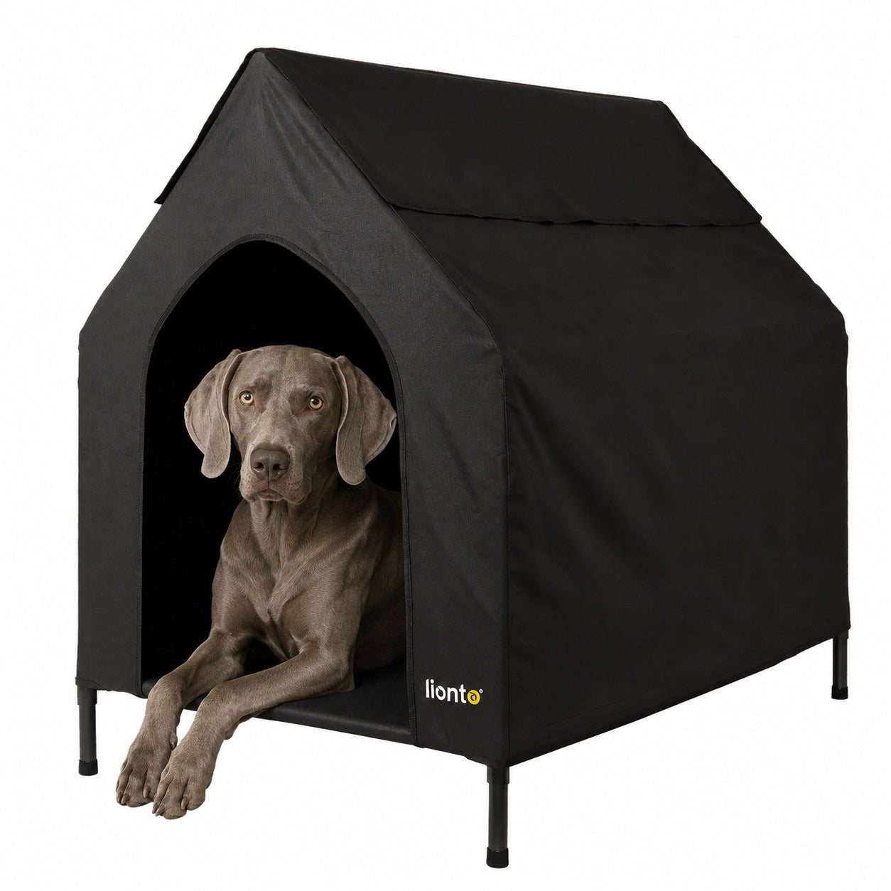 Lit couvert chien niche surélevée lit chien avec toit noir plusieurs tailles