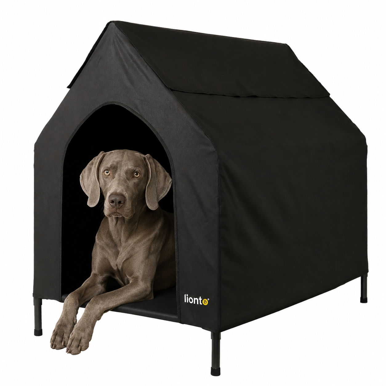 Lit couvert chien niche surélevée lit chien avec toit noir plusieurs tailles