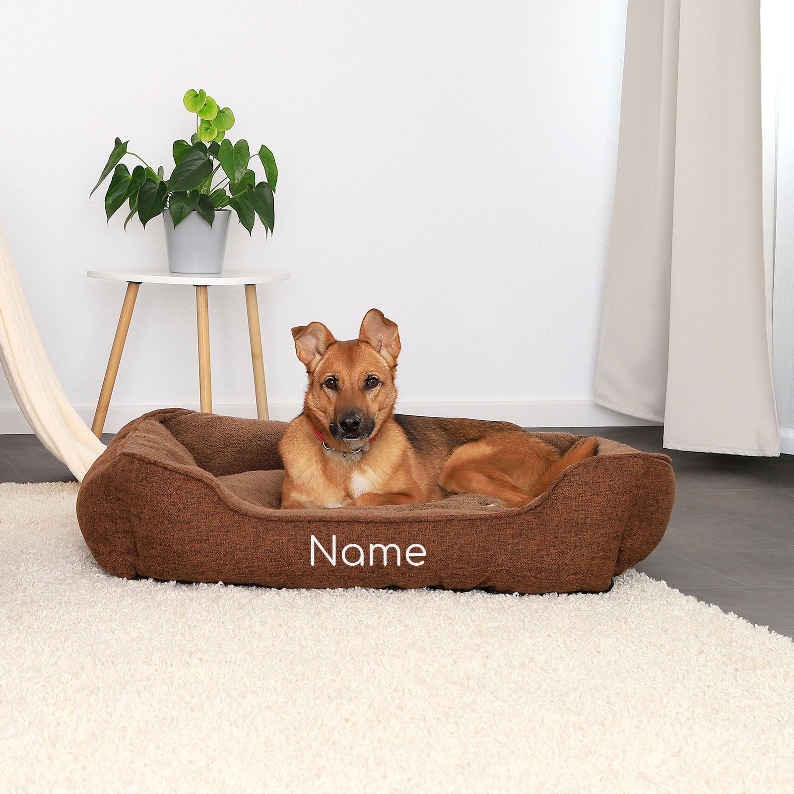 Lit pour animaux chiné, personnalisé