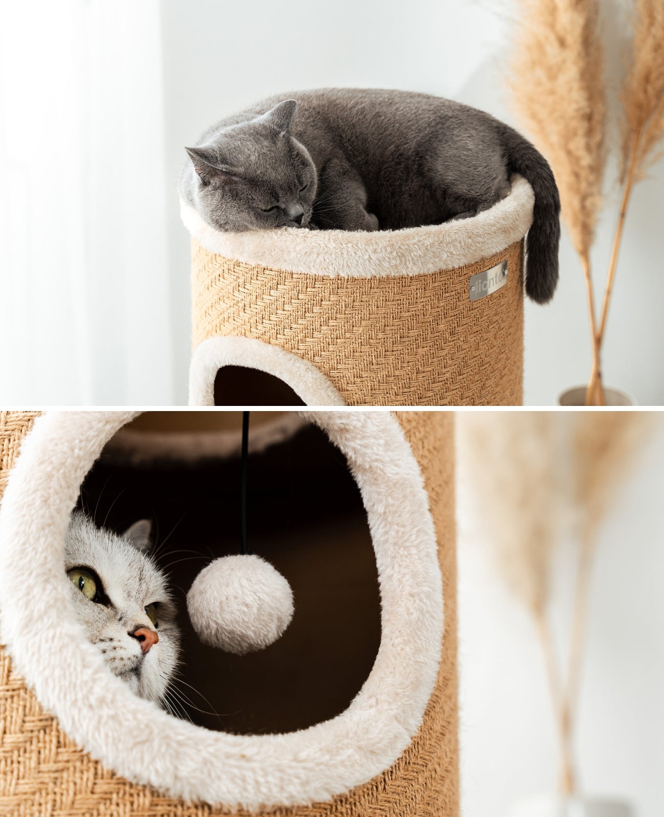 tonneau à gratter Lionto en jute, de différentes hauteurs