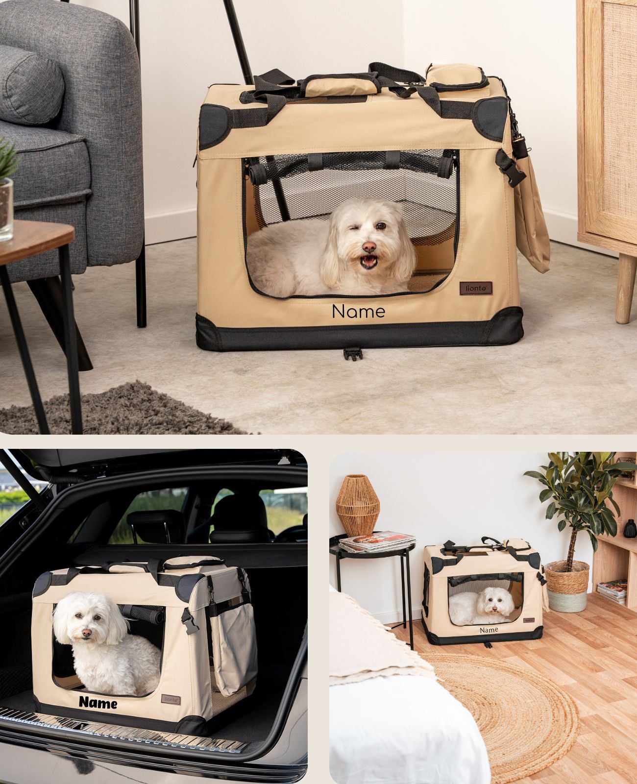 Boîte de transport, personnalisée