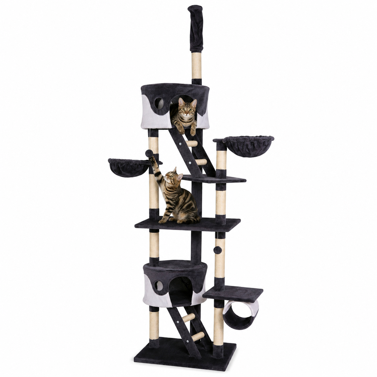 Arbre à chat griffoir grattoir jouet animaux douillet et peluché 230-250 cm