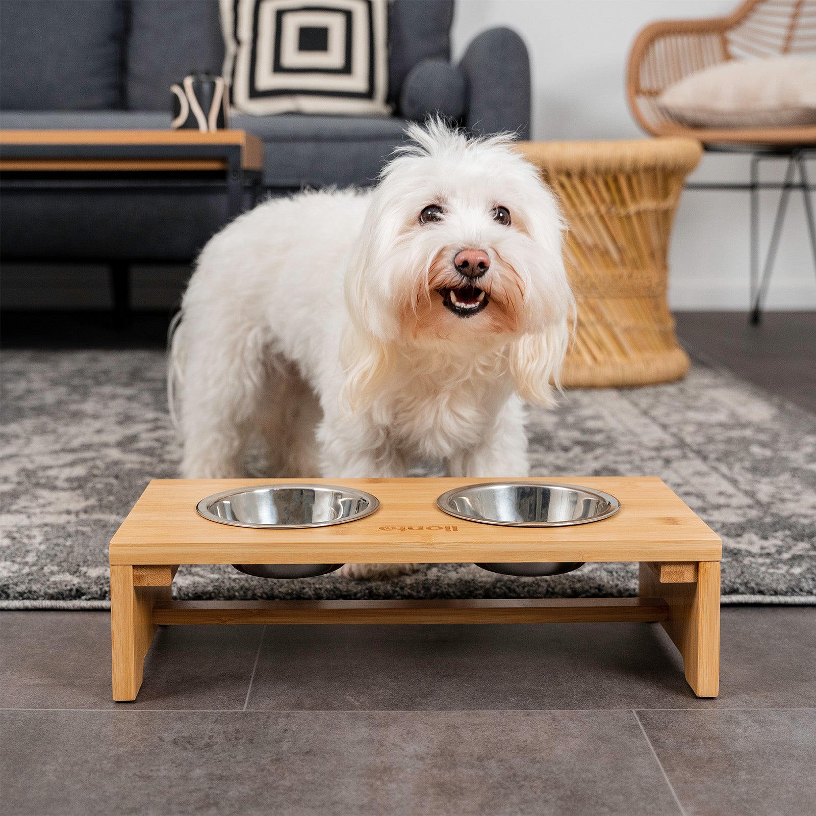 weißer Hund steht im Wohnzimmer vor erhöhten Hundenäpfen aus Bambus und Edelstahl