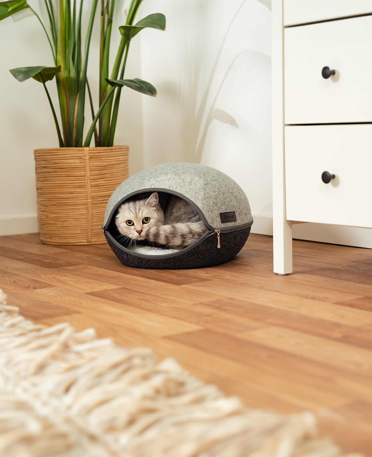 lionto Maison de chat en feutre Lit pour chat avec zip et coussin, 46x38x24 cm