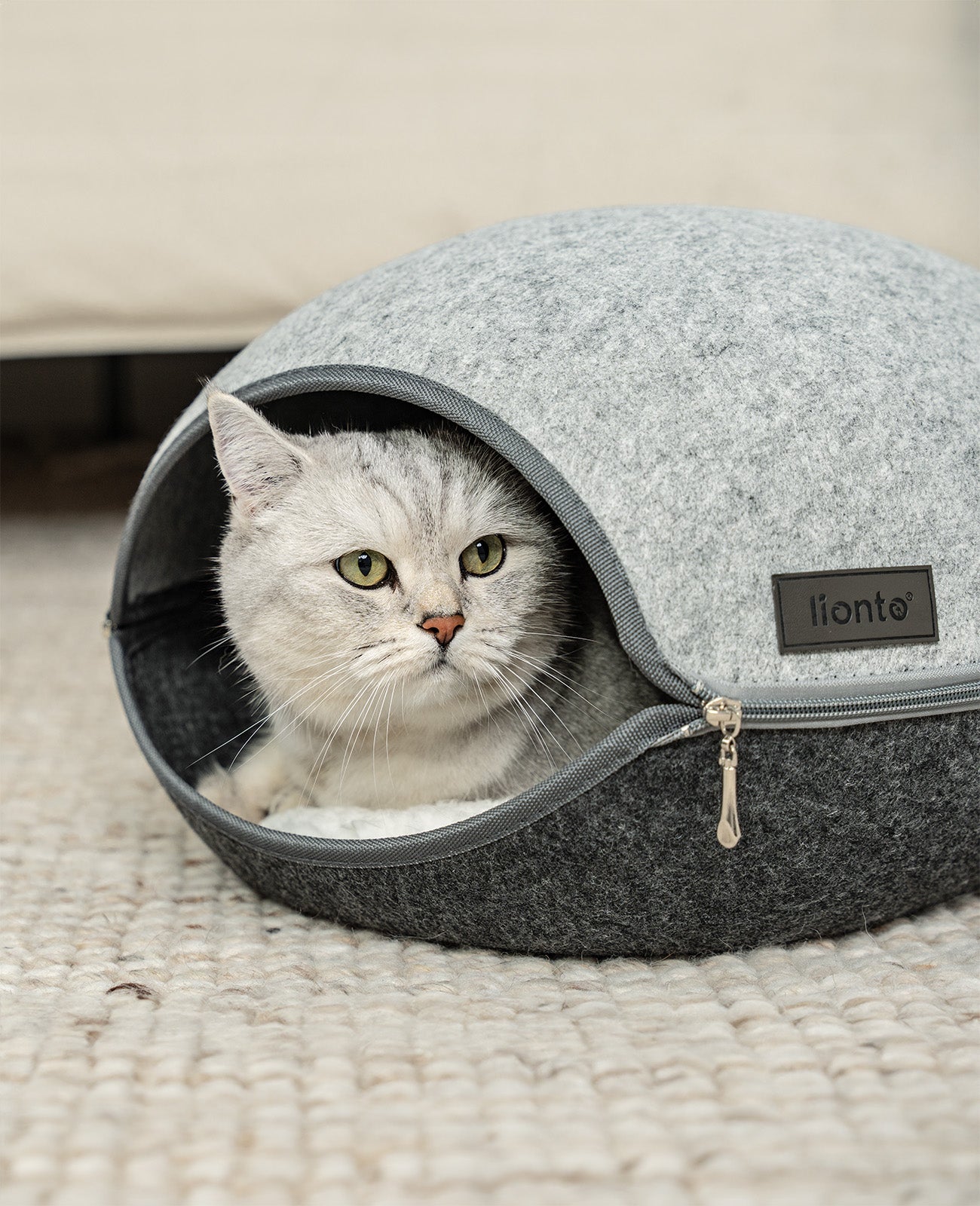 lionto Maison de chat en feutre Lit pour chat avec zip et coussin, 46x38x24 cm