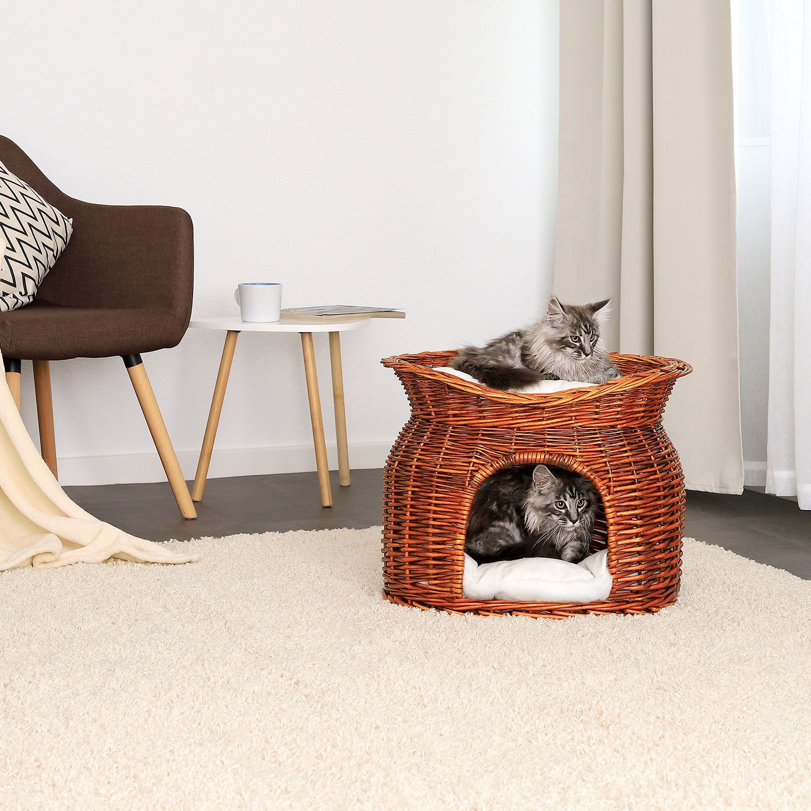 Corbeille osier chats grotte chats avec coussin couleurs différentes 55x39x43 cm