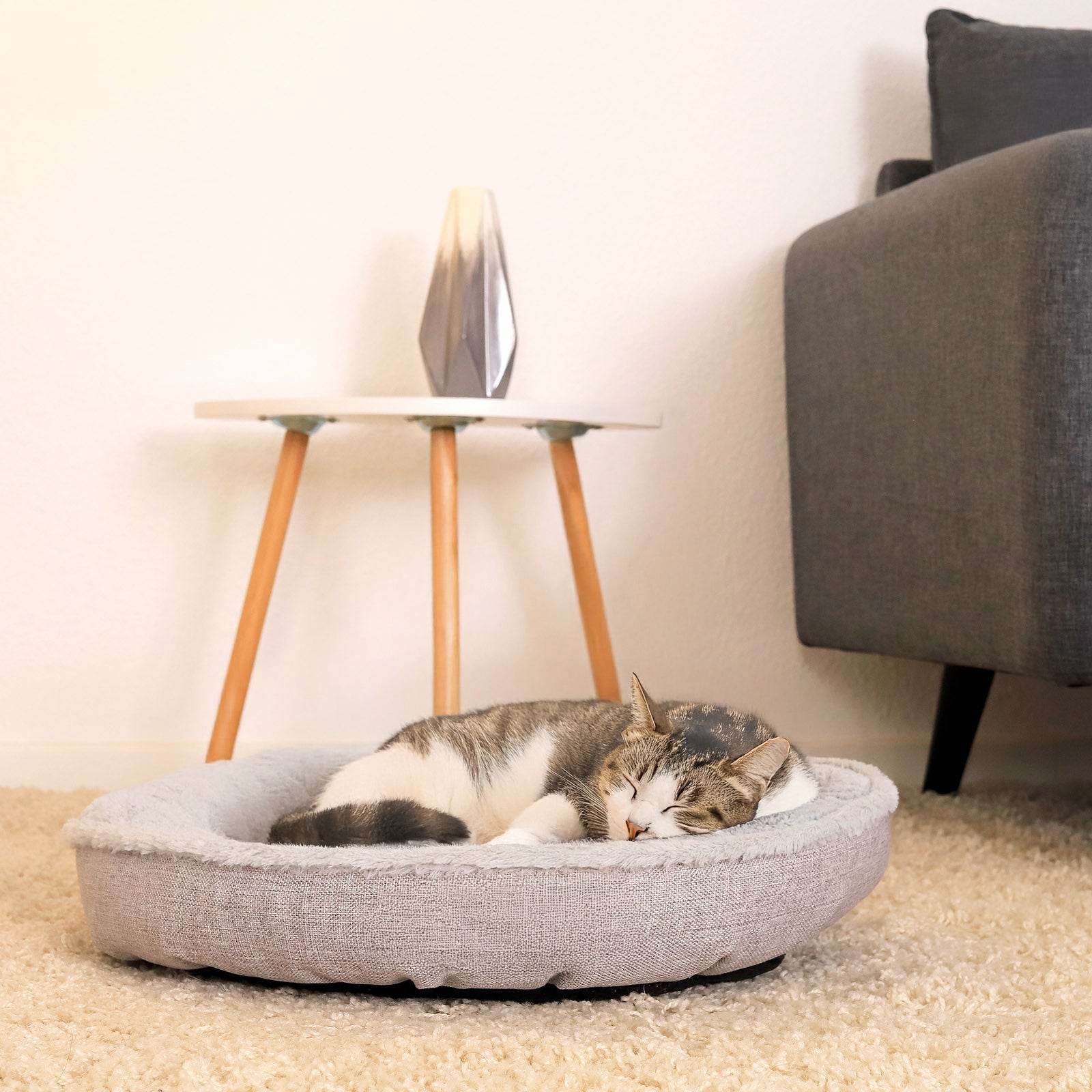 lionto Lit chat rond coussin chat panier chat panier chat donut div. variantes