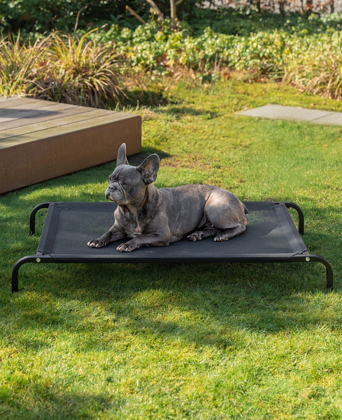 lionto Lit pour Chiens, Couchette en Tissu Textilene, gris ou noir