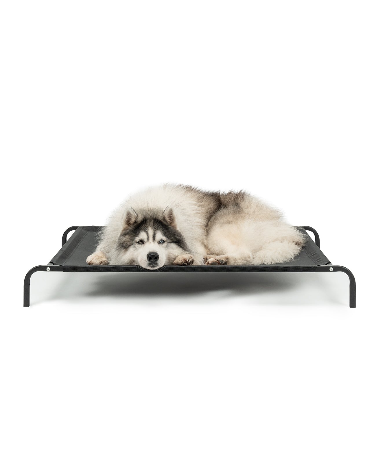lionto Lit pour Chiens, Couchette en Tissu Textilene, gris ou noir