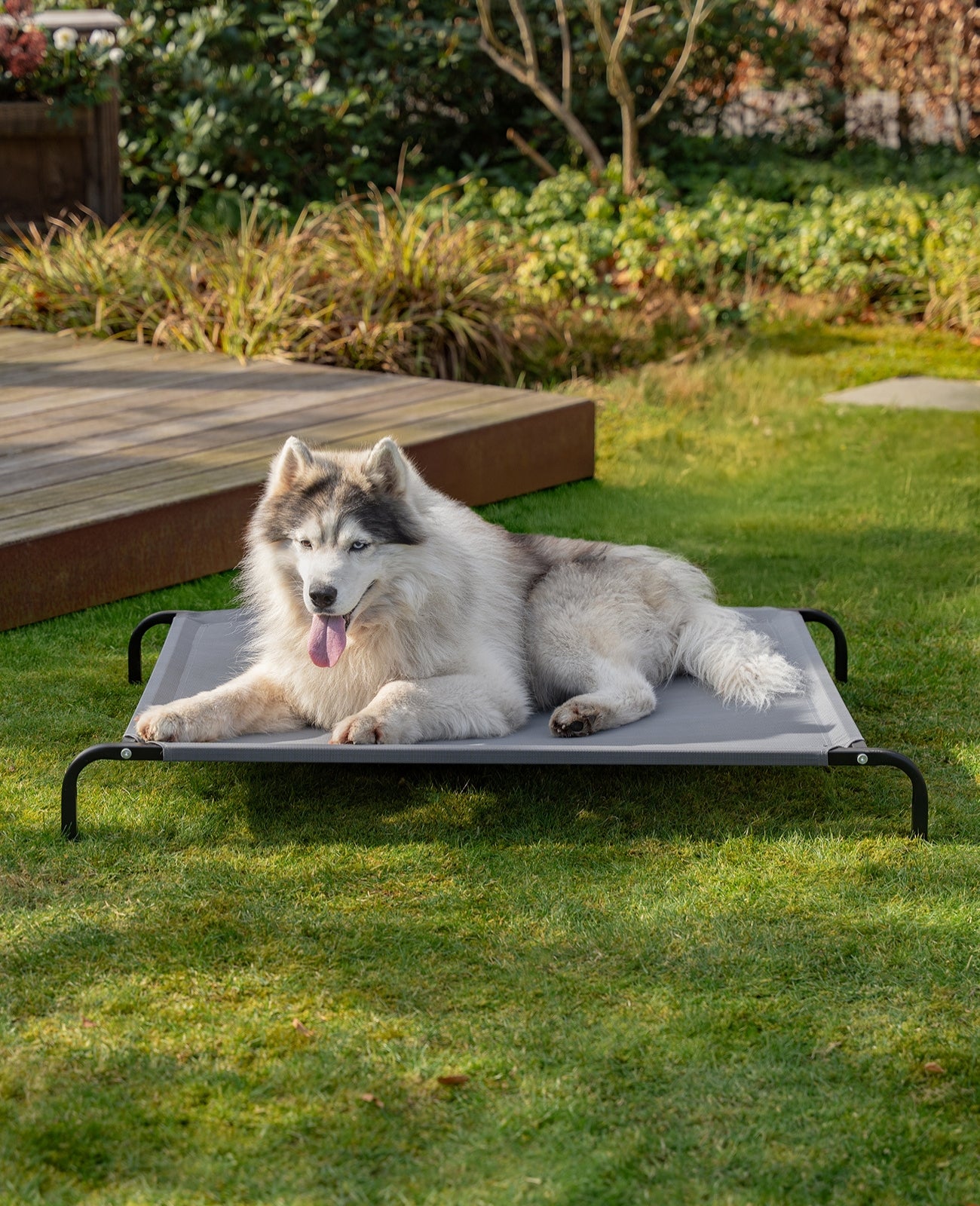lionto Lit pour Chiens, Couchette en Tissu Textilene, gris ou noir