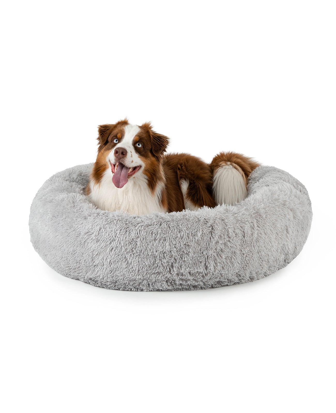lionto Panier rond chien coussin chat panier donut choix de la taille et couleur